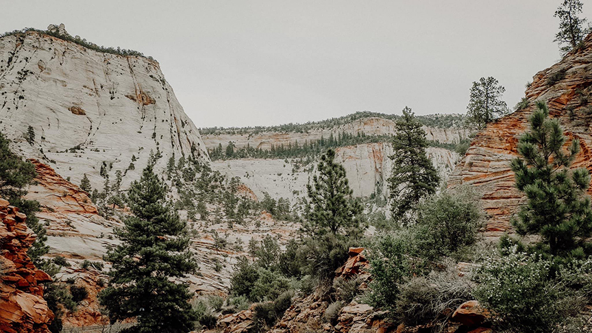 landscape photograph of mountains at Zion National Park